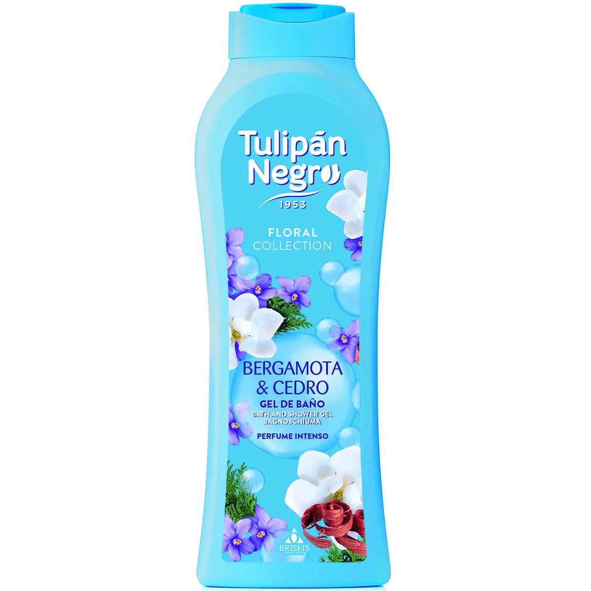 Tulipan Negro Bergamot